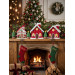 Crochet Christmas Village House and Trees PDF Pattern